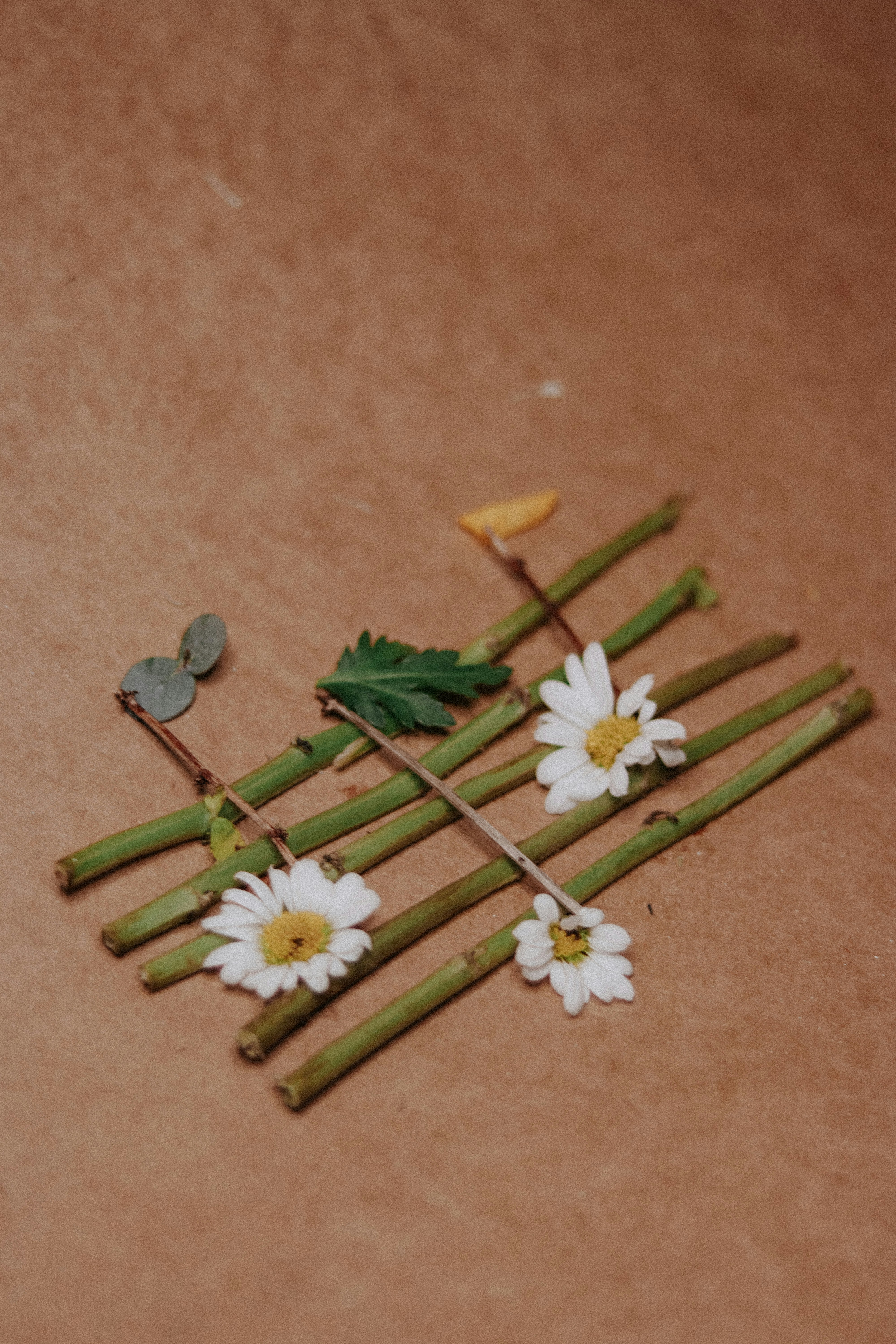 a bunch of flowers sitting on top of a table